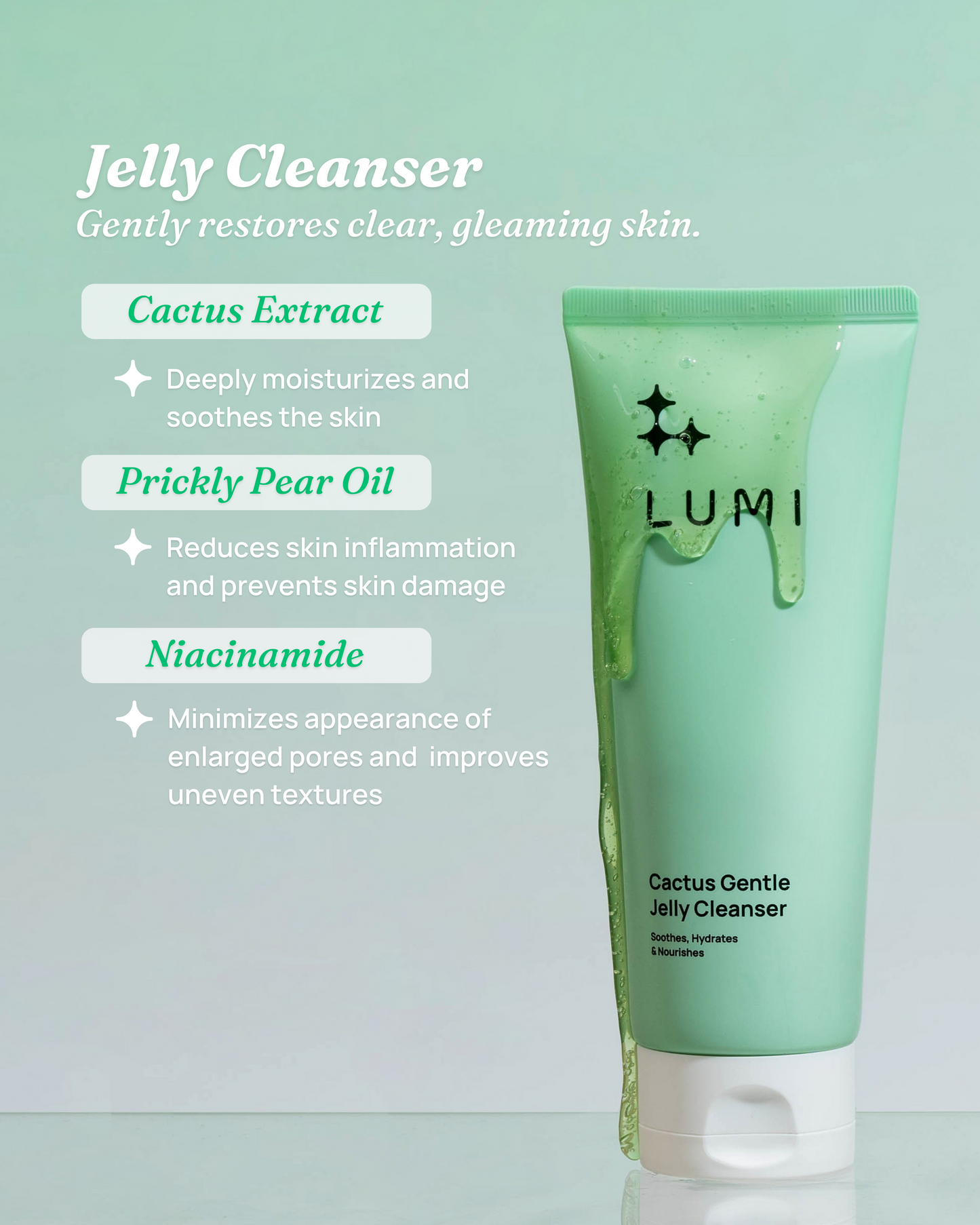 Cactus Cleanser Mini Duo