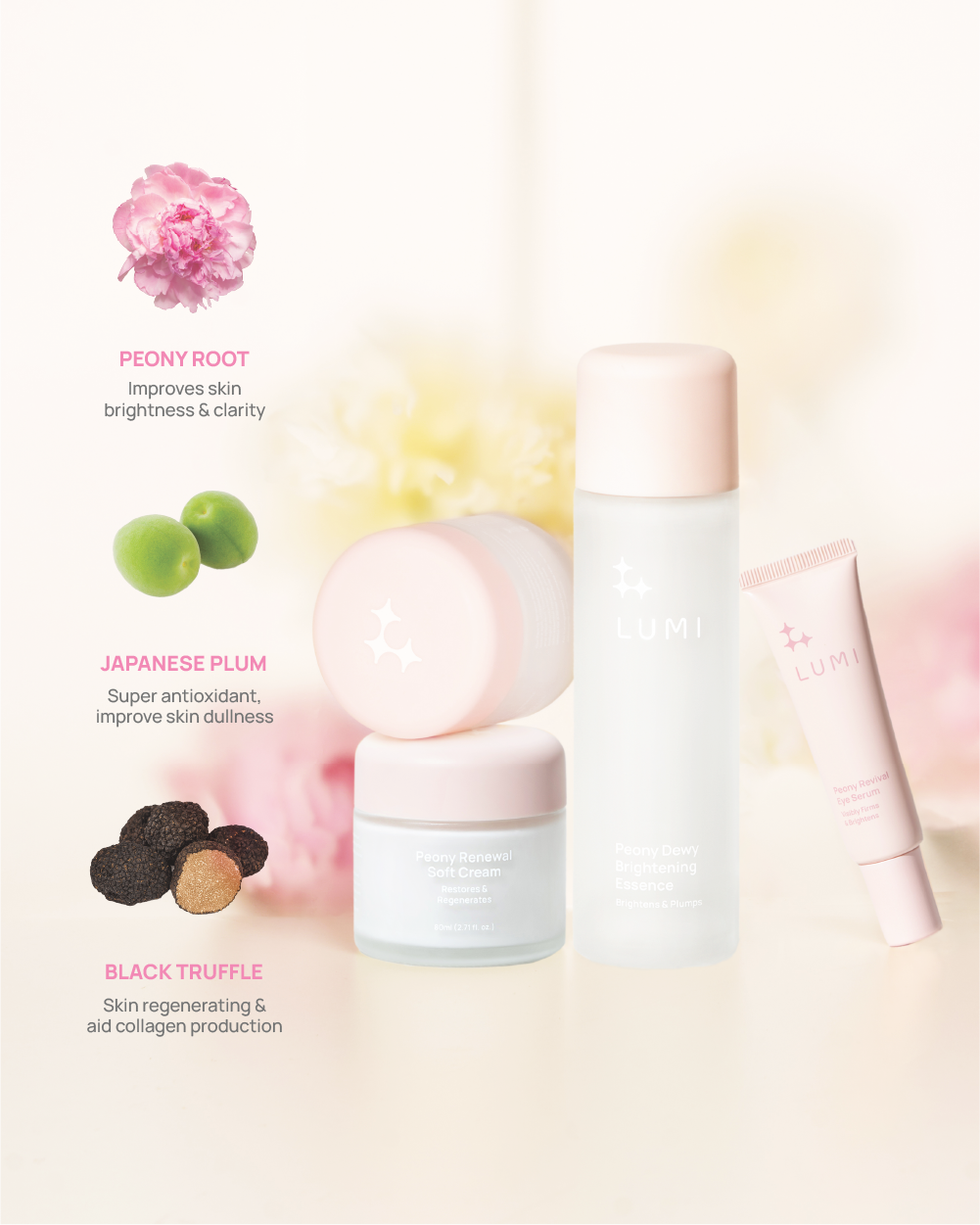 Timeless Bloom Bundle